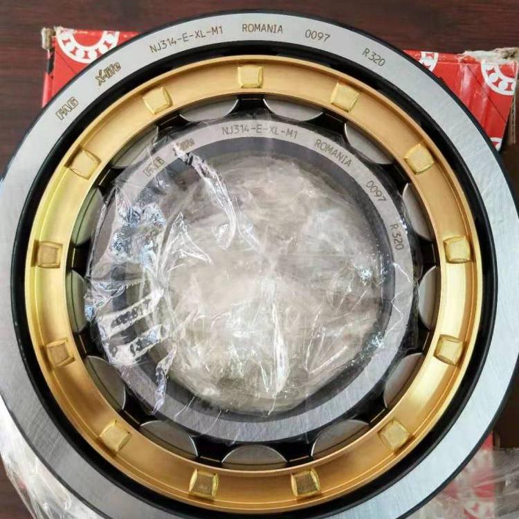 陝西FAG軸承廠家